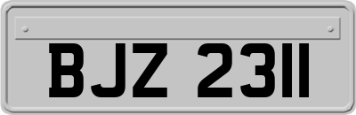 BJZ2311