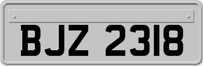 BJZ2318