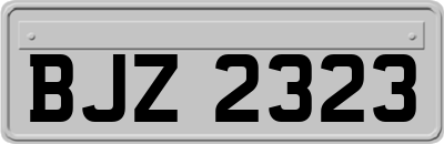 BJZ2323