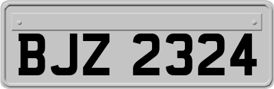 BJZ2324