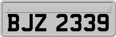 BJZ2339