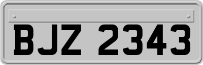 BJZ2343
