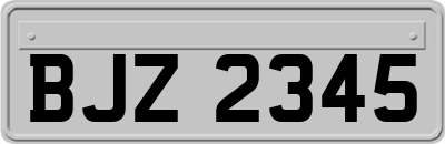 BJZ2345