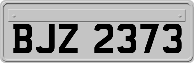 BJZ2373