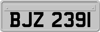 BJZ2391