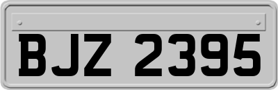 BJZ2395