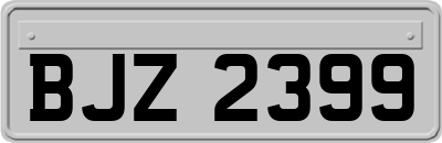 BJZ2399