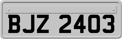 BJZ2403