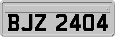 BJZ2404