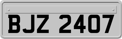 BJZ2407