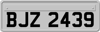 BJZ2439
