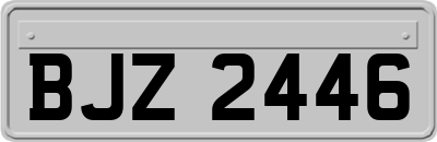 BJZ2446