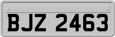 BJZ2463