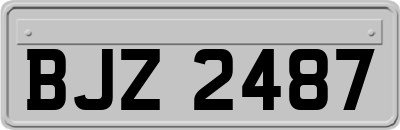 BJZ2487
