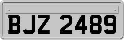 BJZ2489