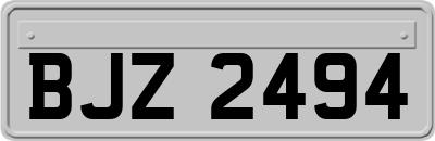 BJZ2494