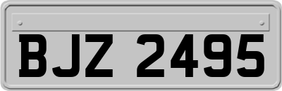 BJZ2495