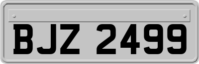 BJZ2499