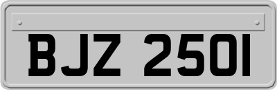 BJZ2501