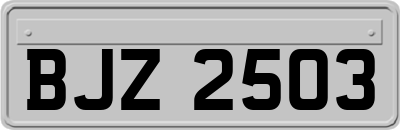 BJZ2503