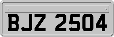 BJZ2504