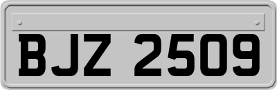 BJZ2509