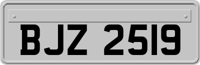 BJZ2519
