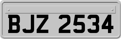 BJZ2534