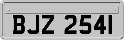 BJZ2541