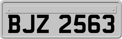 BJZ2563