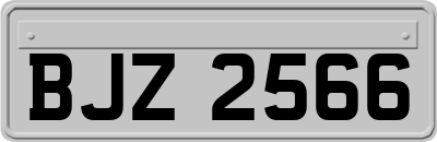 BJZ2566