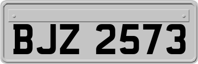 BJZ2573