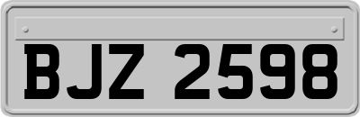 BJZ2598