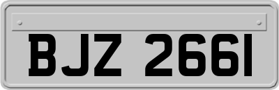 BJZ2661