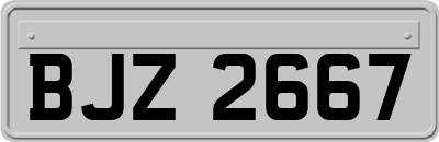 BJZ2667