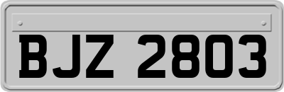 BJZ2803