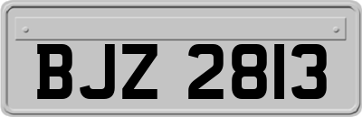 BJZ2813