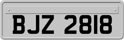 BJZ2818
