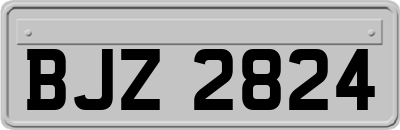 BJZ2824