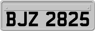 BJZ2825