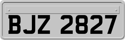BJZ2827