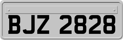 BJZ2828