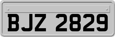 BJZ2829