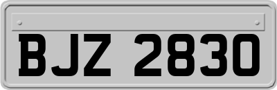BJZ2830