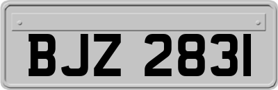 BJZ2831