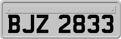 BJZ2833