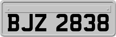 BJZ2838