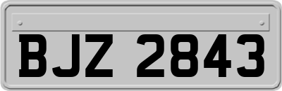 BJZ2843