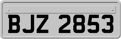 BJZ2853
