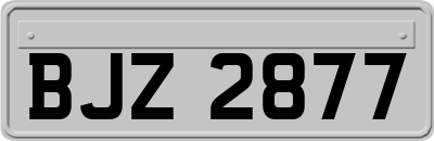 BJZ2877
